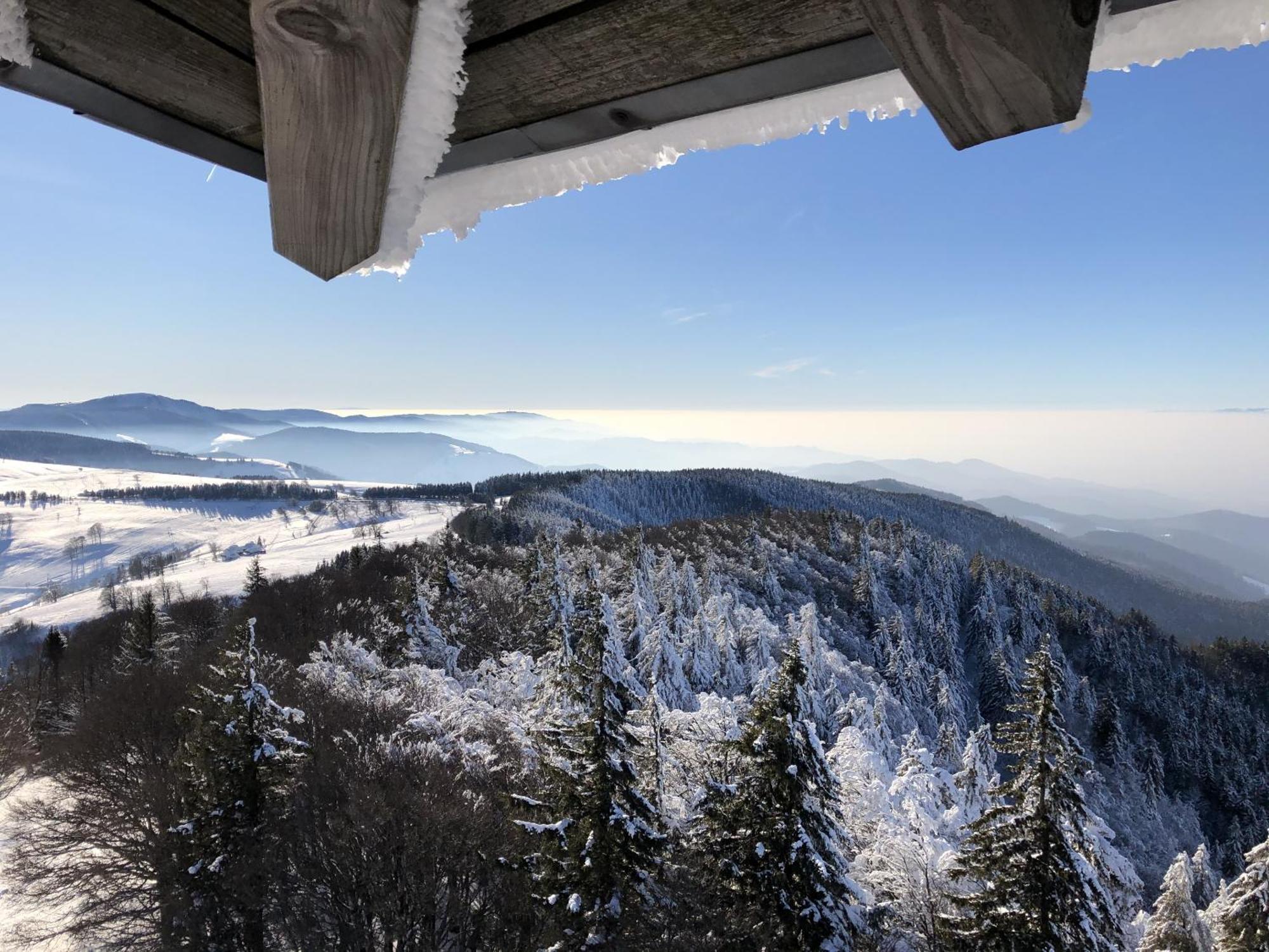 Schwarzwaldhimmel Holiday home