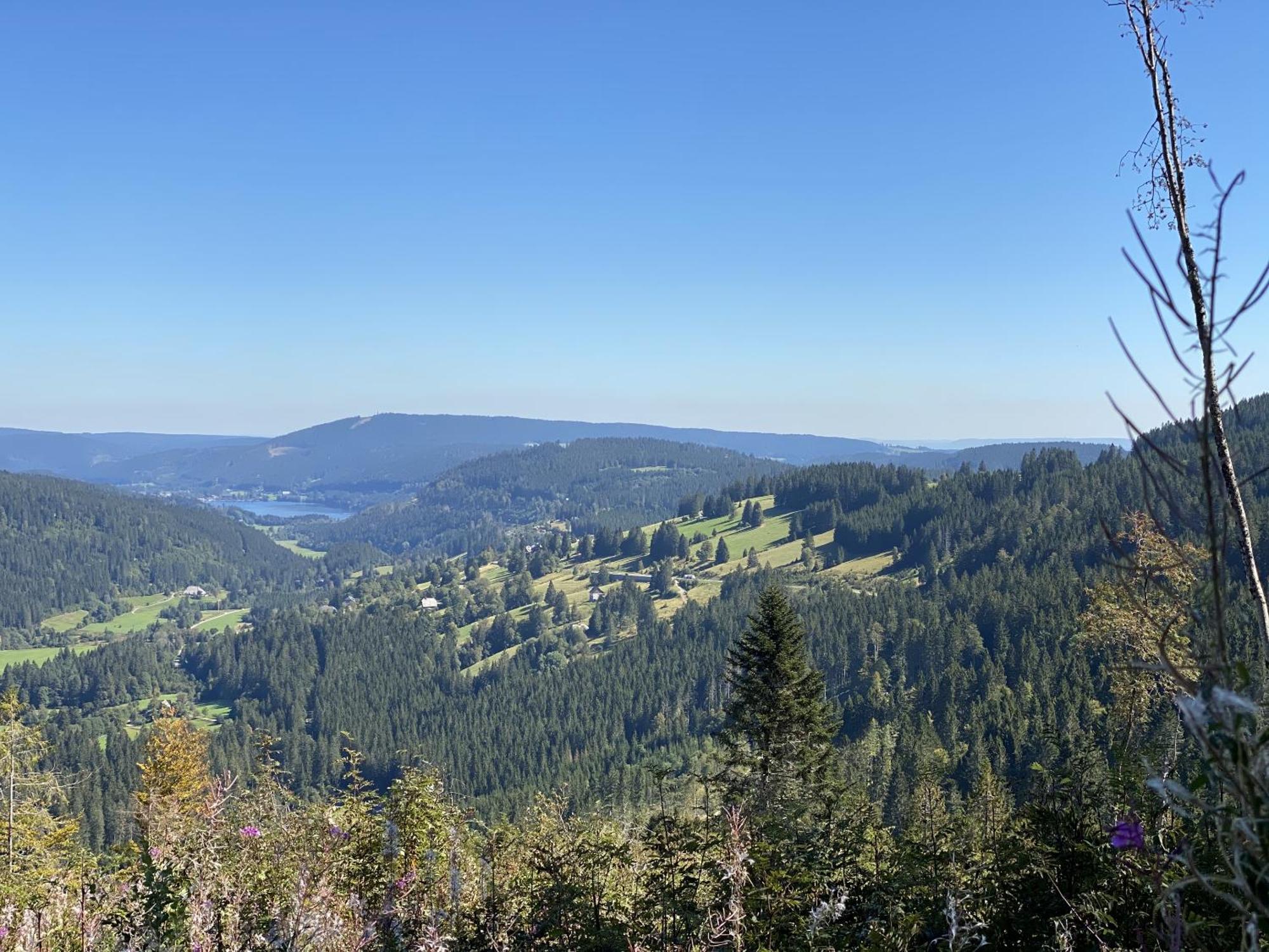 Schwarzwaldhimmel *