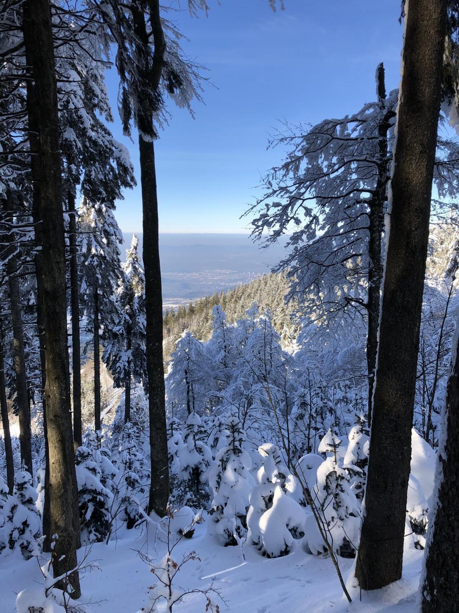 Schwarzwaldhimmel Dom wakacyjny Feldberg (Baden-Wurttemberg)