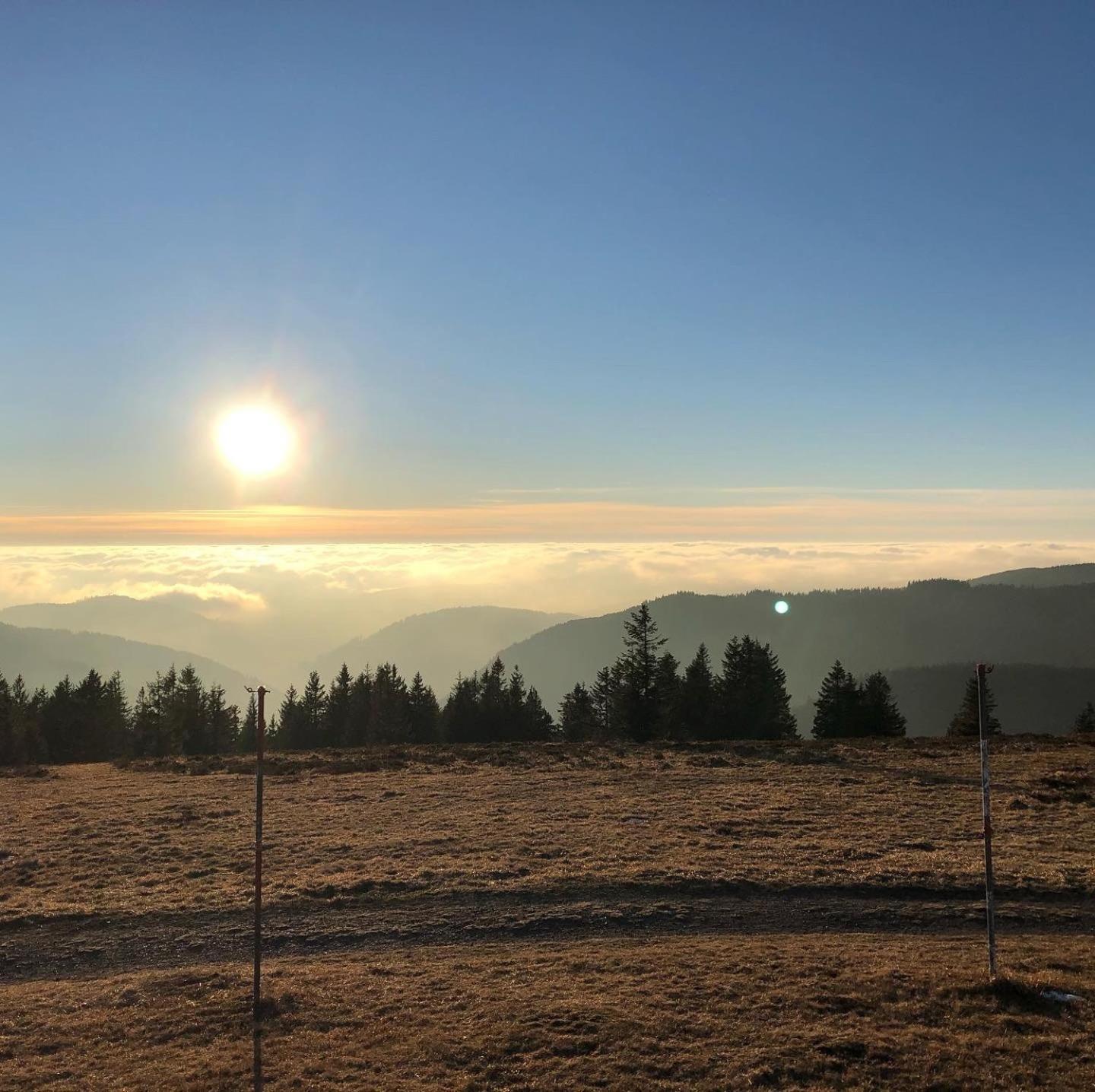 Schwarzwaldhimmel Feldberg (Baden-Wurttemberg)
